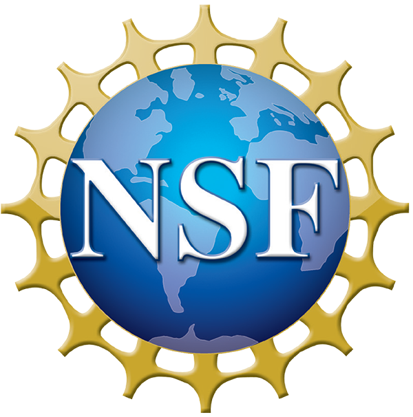 NSF logo